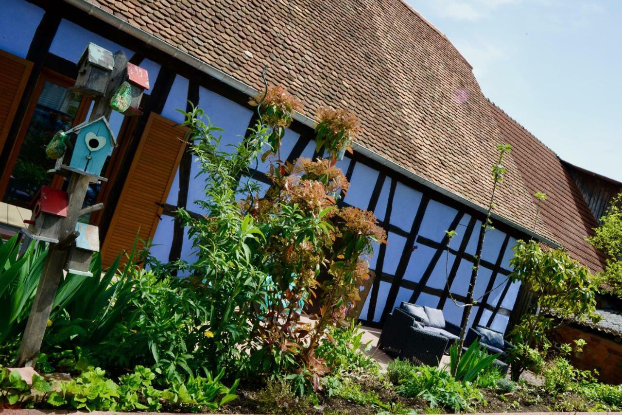 Le Clos Bleu - Gite Rural Schillersdorf Екстериор снимка